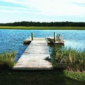 Amy DeGarady's photo