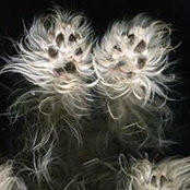 Heather Lynn's photo
