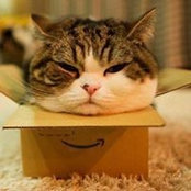 Sandra Wang's photo