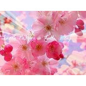 Danica Young's photo