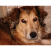Brenda O'Donnell's photo
