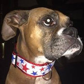 Christy Herrington's photo