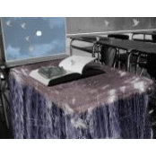 Eileen Adelizzi's photo