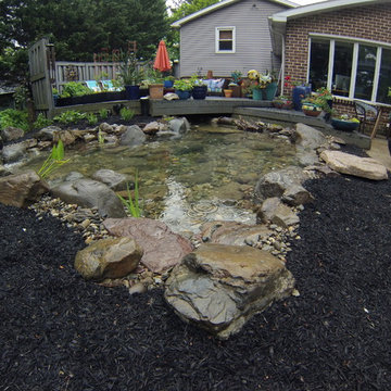Out with the Old Pond in With The New