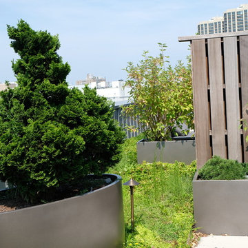 Penthouse Patio & Green Roof - Beacon Hill, Boston