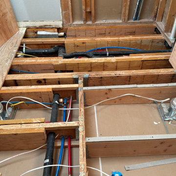 Centennial Primary Bathroom Plumbing Remodel