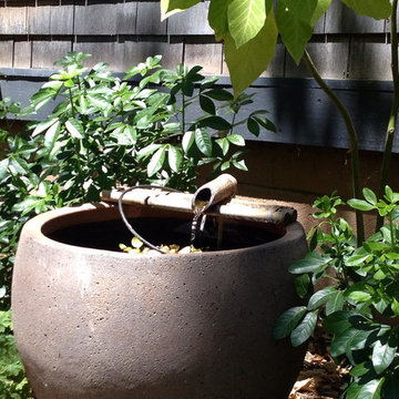 Xeriscaping and Misc.