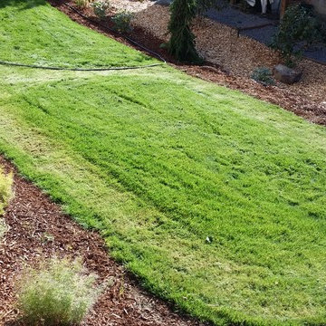 Mission Impossible MakeOver! Specimen Trees & Patio Down Extreme Slope