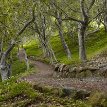Park