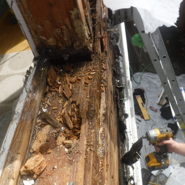 Dry Rot Repair