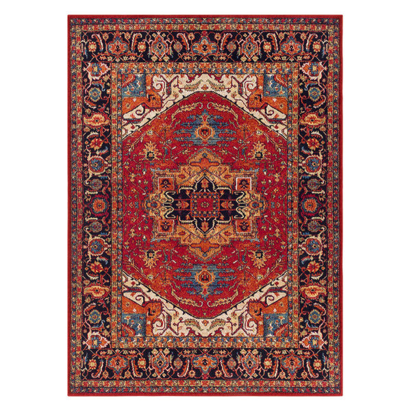 Serapi Traditional Dark Red, Black Area Rug, 9'3