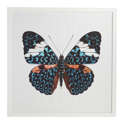 BUTTERFLY WALL ART - CHLOE CRACKER - Fine Art Prints