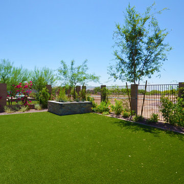 Intrigue @ Greer Ranch | Surprise, AZ | 4094 - Entice Plan