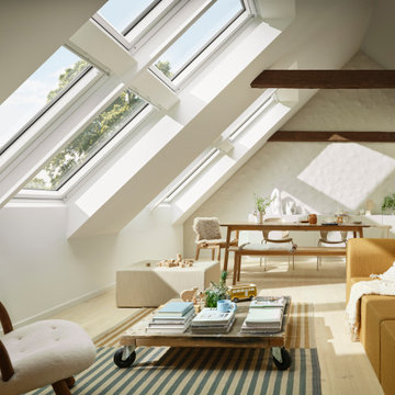 2024 VELUX IE
