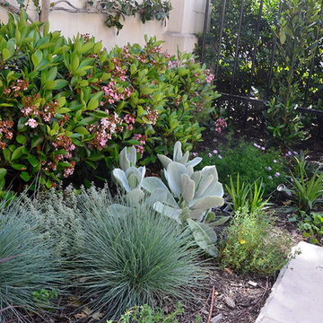 Armadale Garden