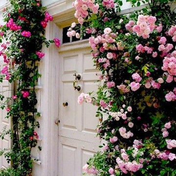 Nantucket Cottage on Long Island