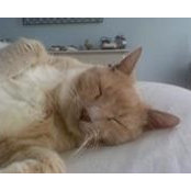Tamara Van Berckelaer's photo