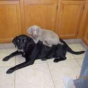 Rosemary Appelt's photo