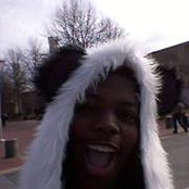 Foto von Terr Bear