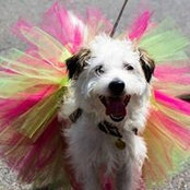 Kristen Schweiloch's photo