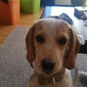Foto von Cindy Morris