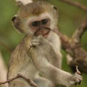 James Koh's photo