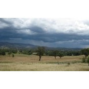 Fiona Gregory's photo