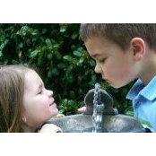 Terri Tarzia's photo