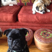 Heidi Hotin's photo