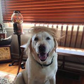 Mary Davidson Cox's photo