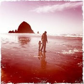 Jo-Anne Stayner's photo