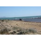 Osmany Delbrey Sr.'s photo