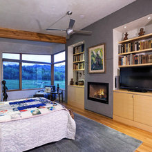 Media wall/shelving/Paned wall