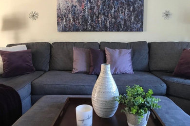 Transitional living room photo in Boston