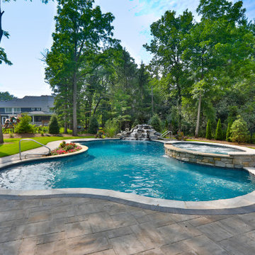 Naperville, IL Freeform Swimming Pool with Raised Hot Tub