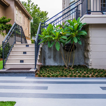 Uptown Contemporary Residence/Tortoise Habitat