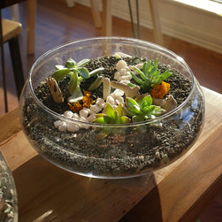 Micro-Gardens - Products
