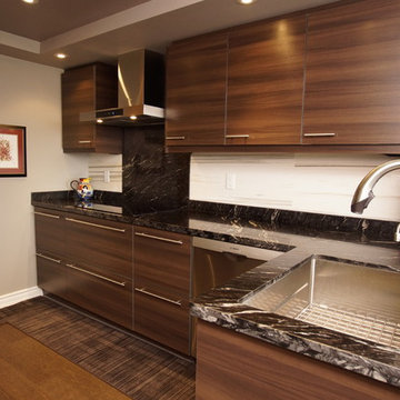 Contemporary Kitchen Cabinetry