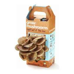 Oyster Mushroom Kit - Home Decor