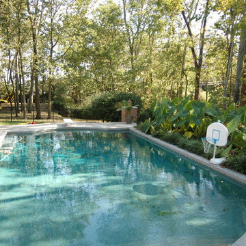 mullett pool