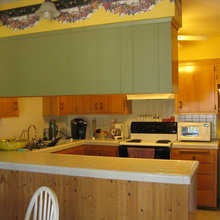 Our Kitchen remodle in process