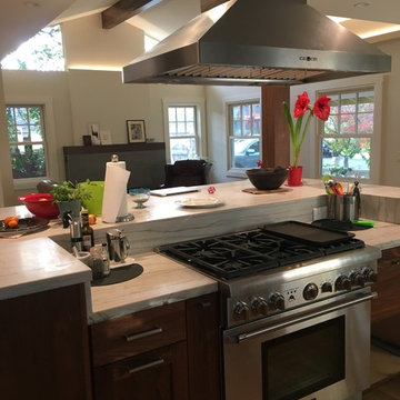 full house remodel - San Carlos