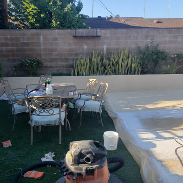 Backyard clean up and remodel