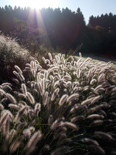 Schöne Terrassengestaltungsideen für eine schöne Aussicht