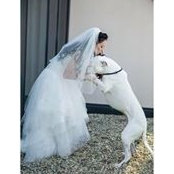 Rita Gerecz's photo
