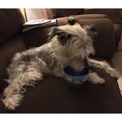 Barbara Koontz's photo