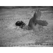 Foto von Simone Bianco
