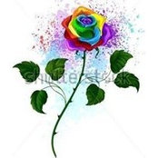 Priya Love's photo