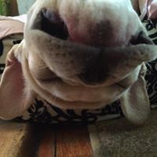 Melissa Muro's photo