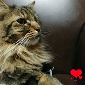 Andrea Oberschlake's photo